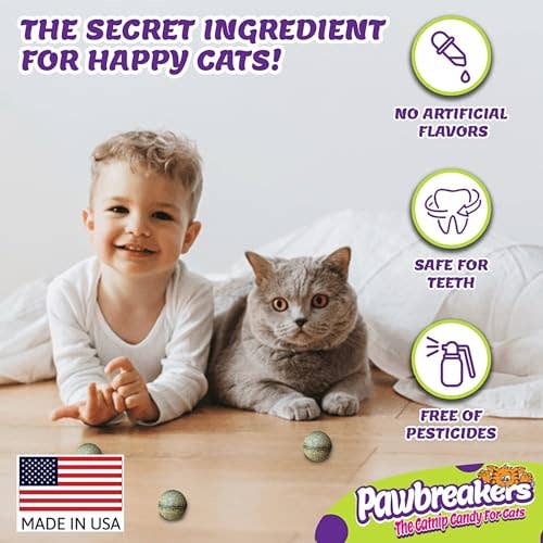 Pawbreakers Catnip Candy Toy