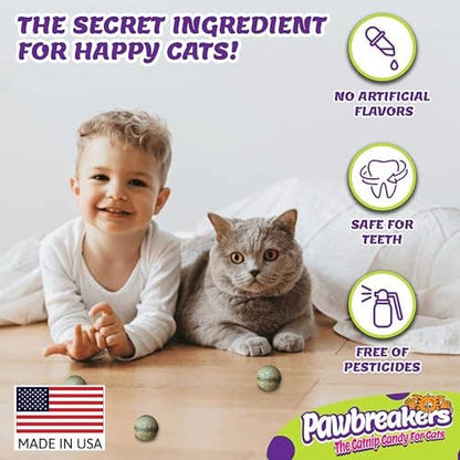 Pawbreakers Catnip Candy Toy